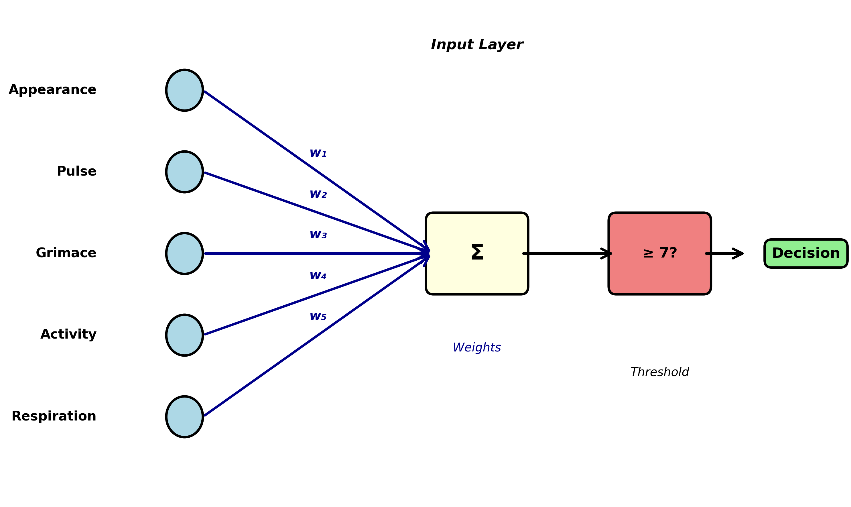 Apgar Perceptron Architecture